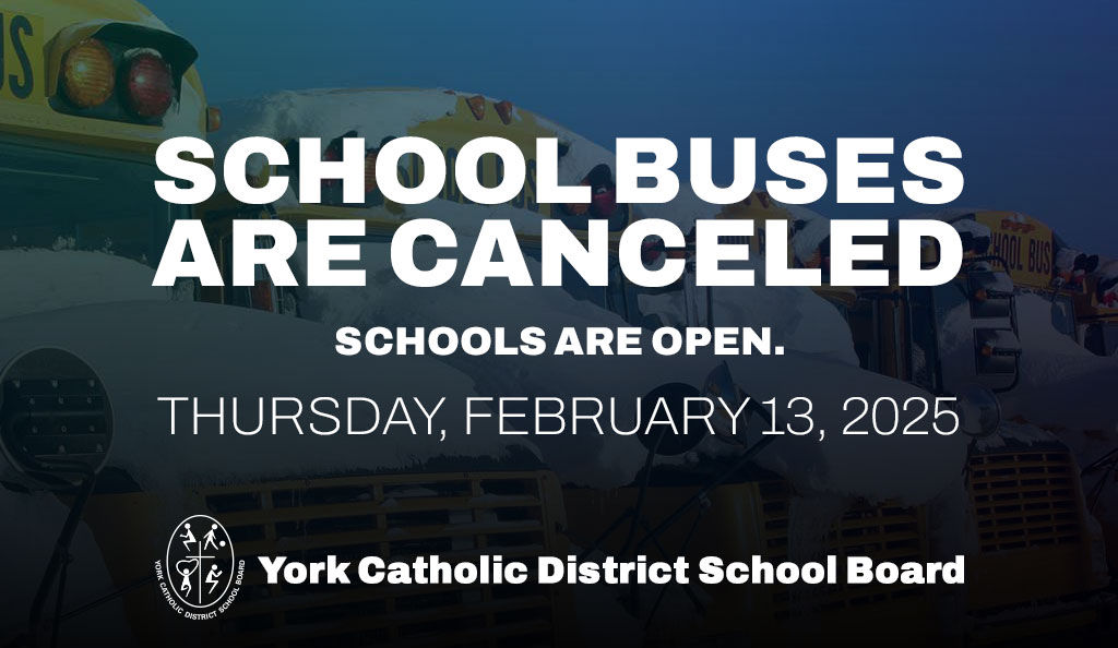 school buses are canceled